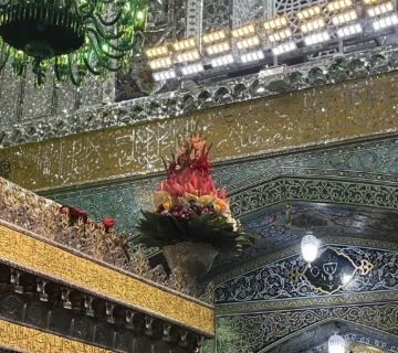 روضه منوره حرم امام رضا (ع)
