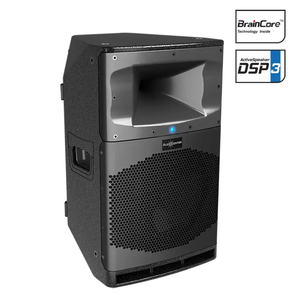 بلندگو Audiocenter SA315 (توسط شیدکو، نماینده رسمی آدیوسنتر) SA312