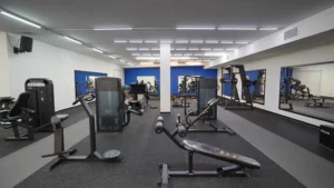  ورزشی ویوا 1 300x169